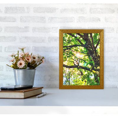 Sun Through Green Leaves 1 Piece Wall Art on Canvas