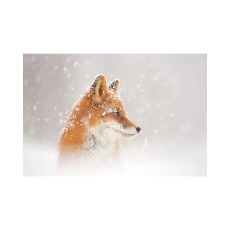 Snow Is Fallinga by Denis Budkov - Wrapped Canvas Print, 101.6 cm H x 66.04 cm W x 3.175 cm D