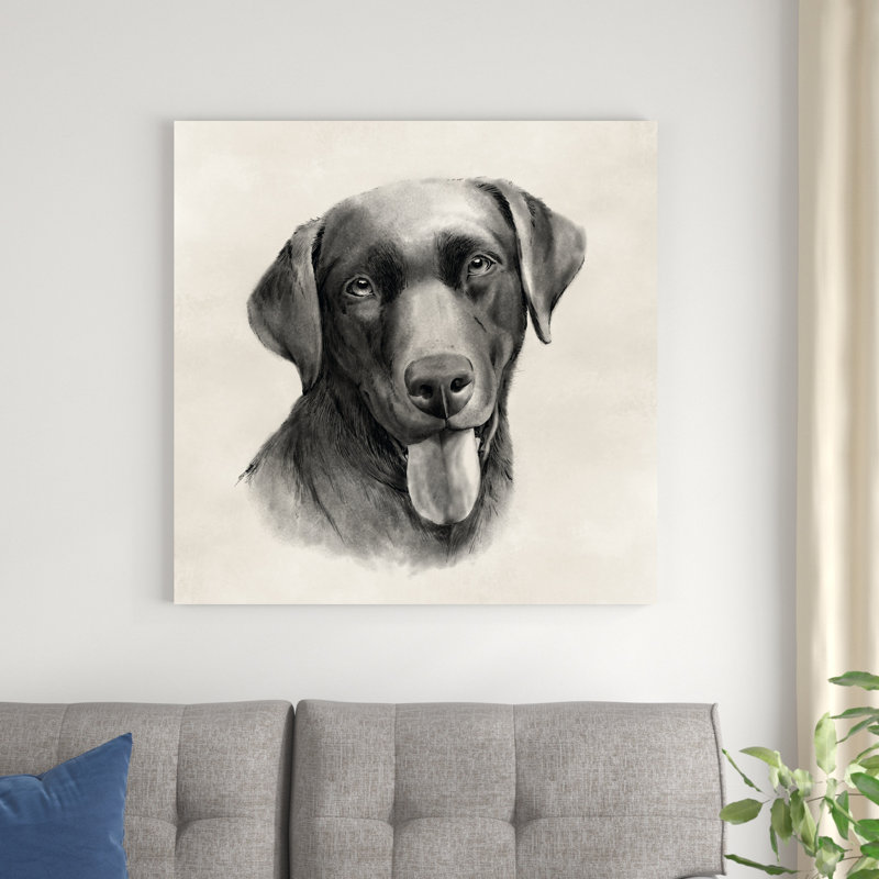 Gris anthracite Labrador I, H 36 po x l 36 po