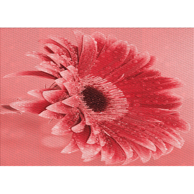 Floral Indoor Rug, Rectangle 2' x 4'