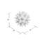 Urchin-28075746-64029206