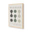 Green Bauhaus Flow I Print dans un cadre-1779147127-1779147109