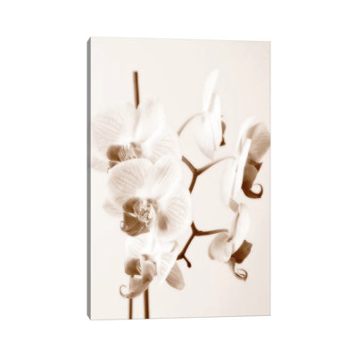 No Boundaries I by Ily Szilagyi - Wrapped Canvas Print