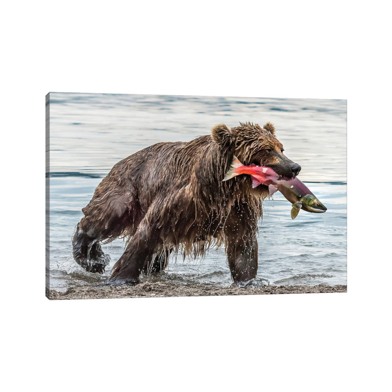 Fishing by Giuseppe Damico - Wrapped Canvas Print, 66.04 cm H x 45.72 cm W x 3.175 cm D