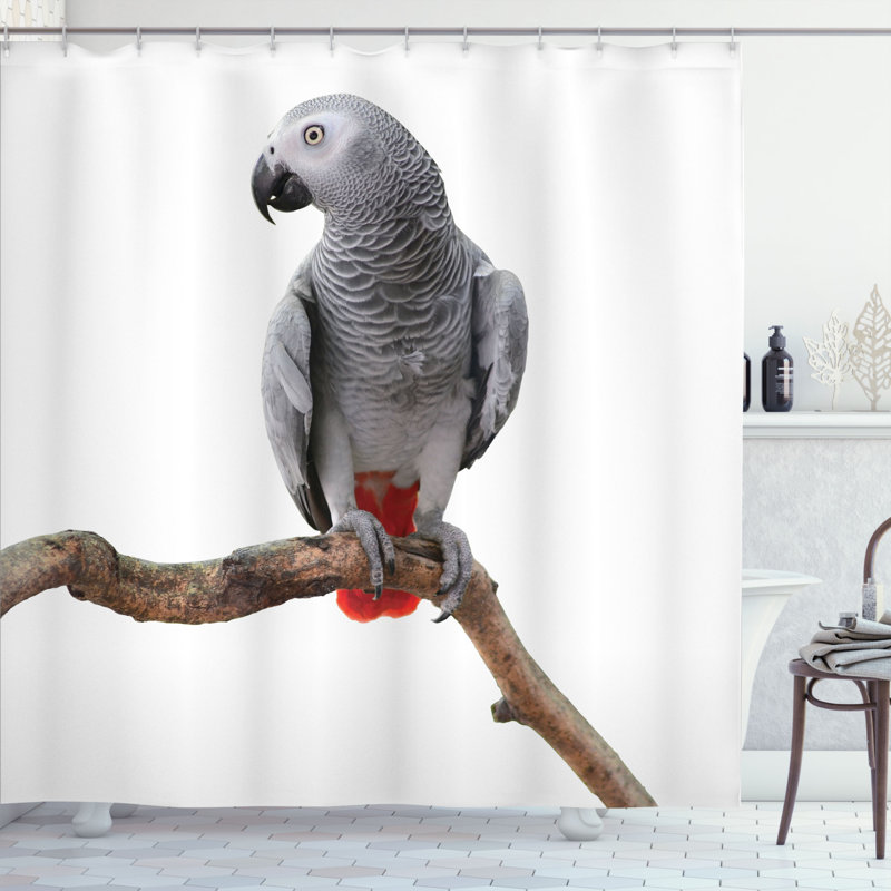 Shower Curtain with Hooks Included, 70" H x 69" W