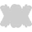 Rosette fleur-grace-32727496