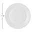 4 Piece Dinner Plate Set