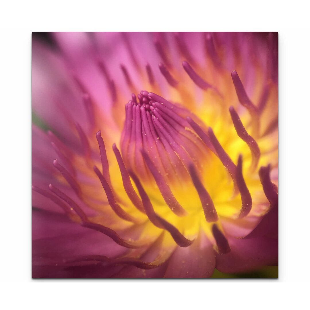 Leinwandbild Lotus Blume