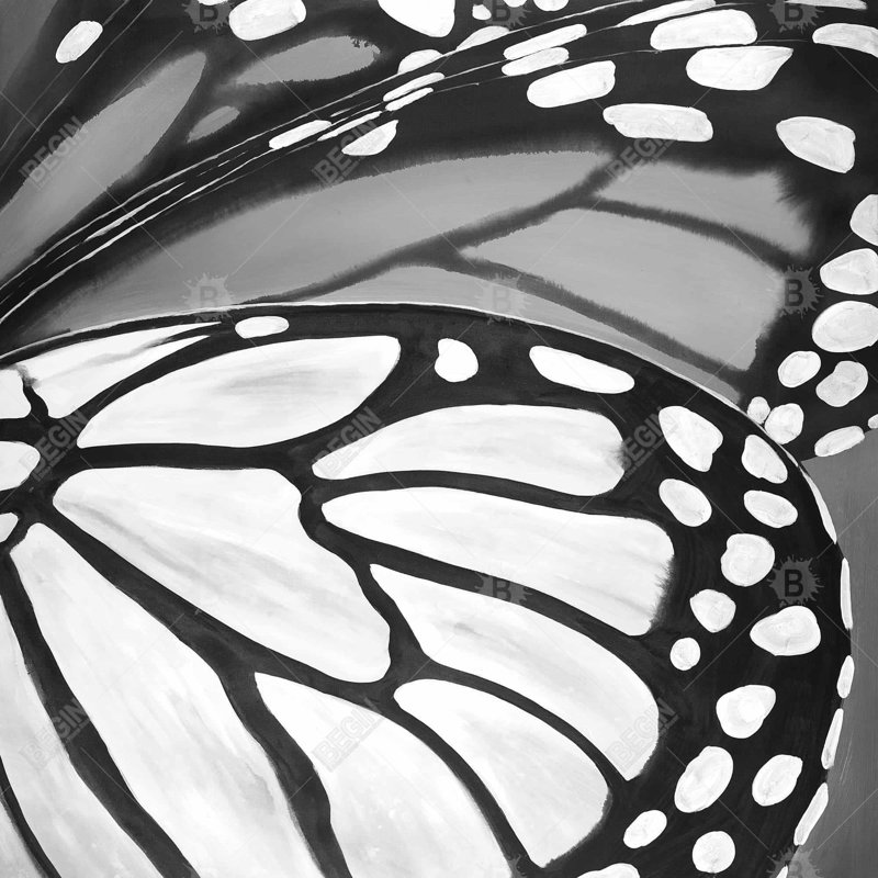 "Ailes de papillon en gros plan", H 24 po x l 24 po