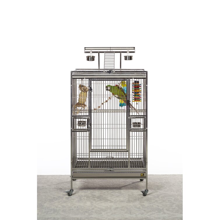 Tucker Murphy Pet™ Tanya 18 Victorian Table Top Bird Cage with Perch &  Reviews - Wayfair Canada