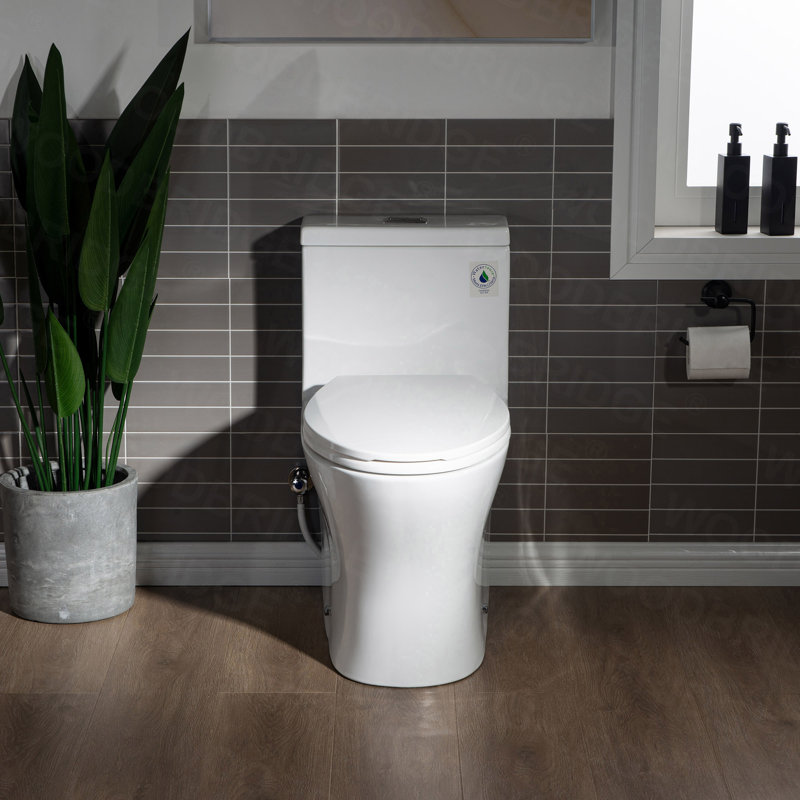 Toilette allongée une pièce à double chasse 1,28 GPF avec siège à fermeture douce, chasse d'eau 1000G, Blanc / nickel brossé