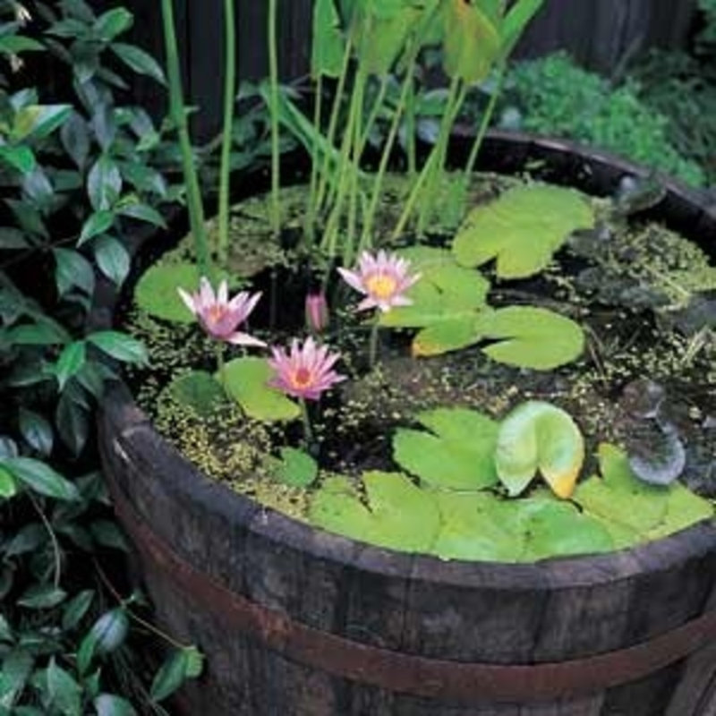 Pot à fleurs demi-tonneau Watertight l 26 po x H 16 po