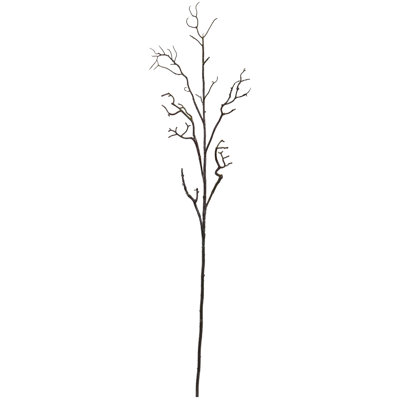 46'' Plant