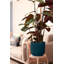 Pot Planter-69444364-69444373