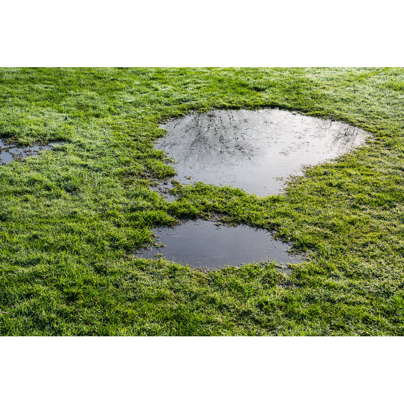 Puddle in the grass, 81cm H x 122cm W