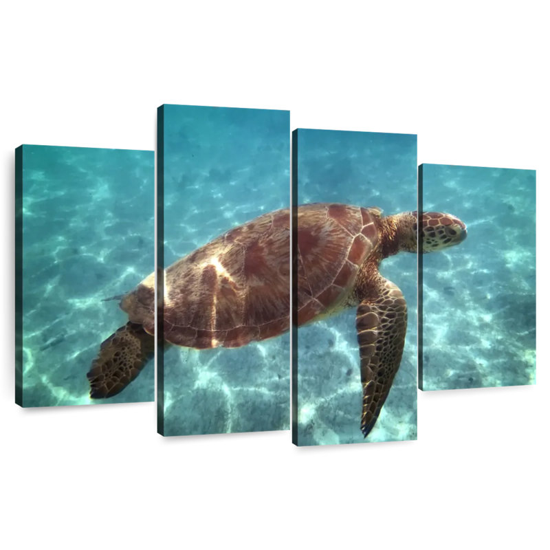 Brampt Endangered Hawksbill Turtle, 48" H x 75" W