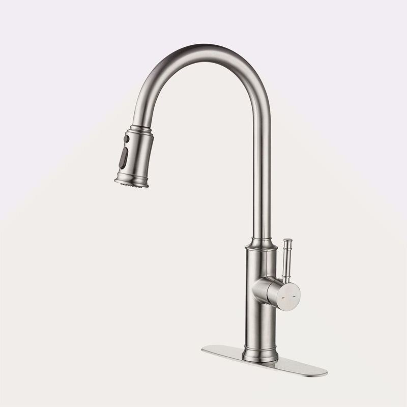 Kitchen Faucet With Pull Down Sprayer