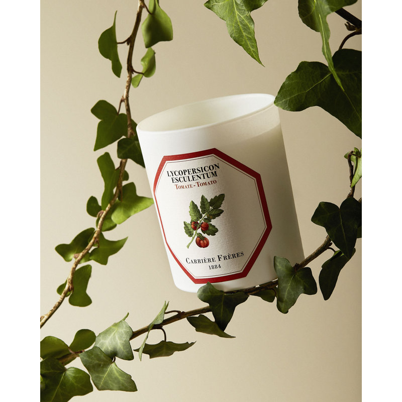 Tomato Candle