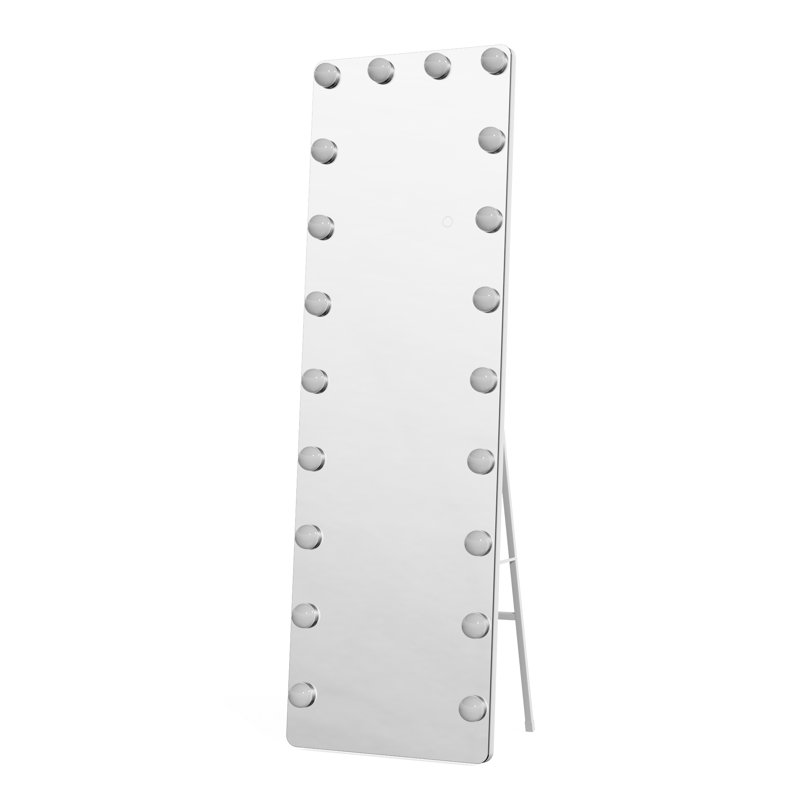 Ebern Designs Modern & Contemporary Lighted Full-Length Mirror with Tempered Glass & 3-Year Warranty, 63" x 20"