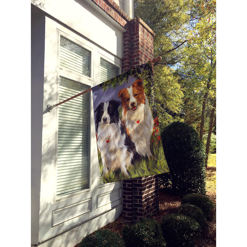 Drapeau de maison Hvidovre Sheltie Halloween en polyester à 2 faces 3 x 2 pi, Border collie patrouille