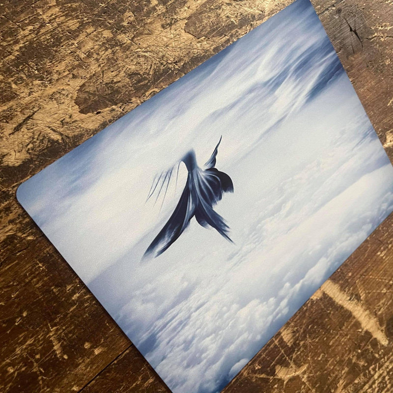No Frame Print on Metal, 20cm H x 25cm W