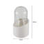 Nylin Plastic Makeup Organizer