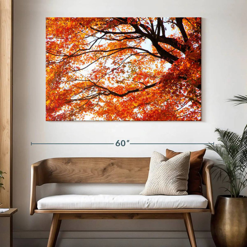 Alvord acer Palmatum en automne, H 34 po x l 51 po