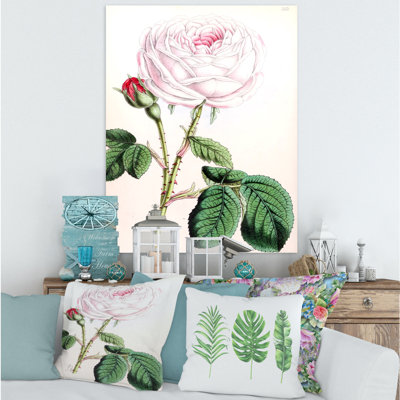 Fleur rose rétro - peinture sur toile