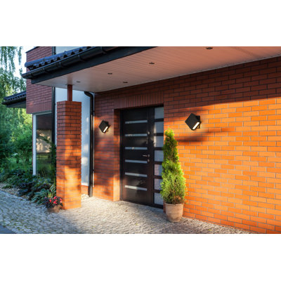 Dahlin Wall Light