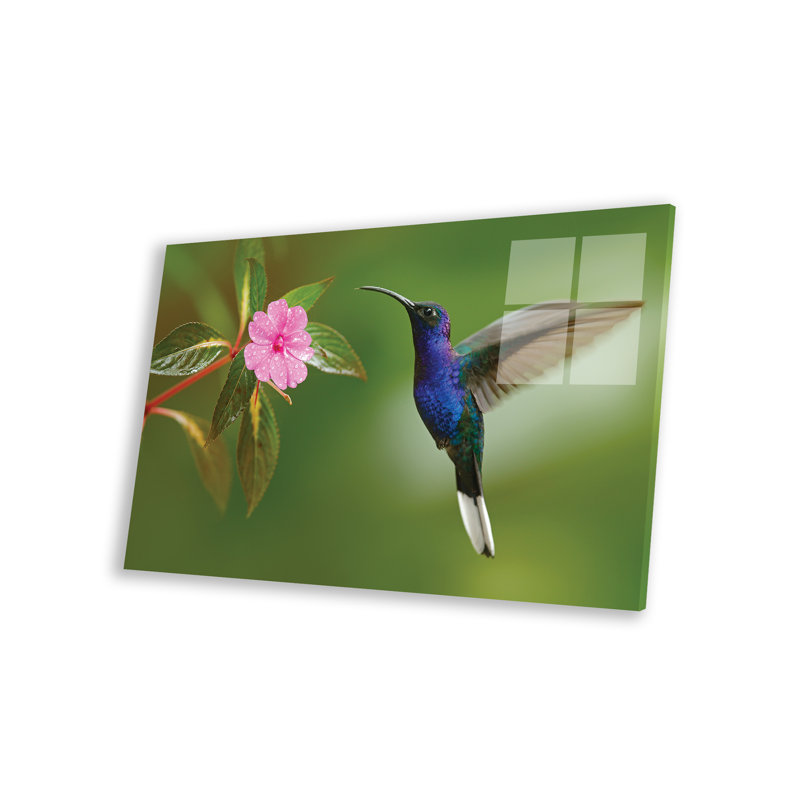 Colibri à la colombe bleue sur verre par Ondřej Prosicky, peinture