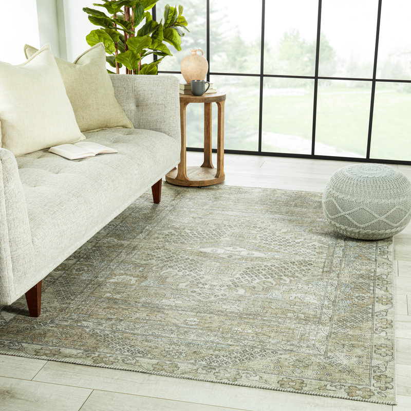 Issa Oriental Indoor Rug, Rectangle 6' x 9'