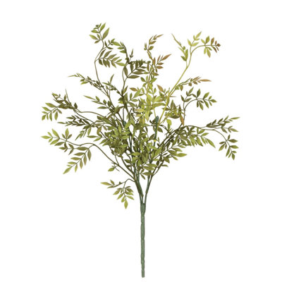 Pick Wisteria