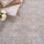 Tapis Webster 300 Performance-1762164386