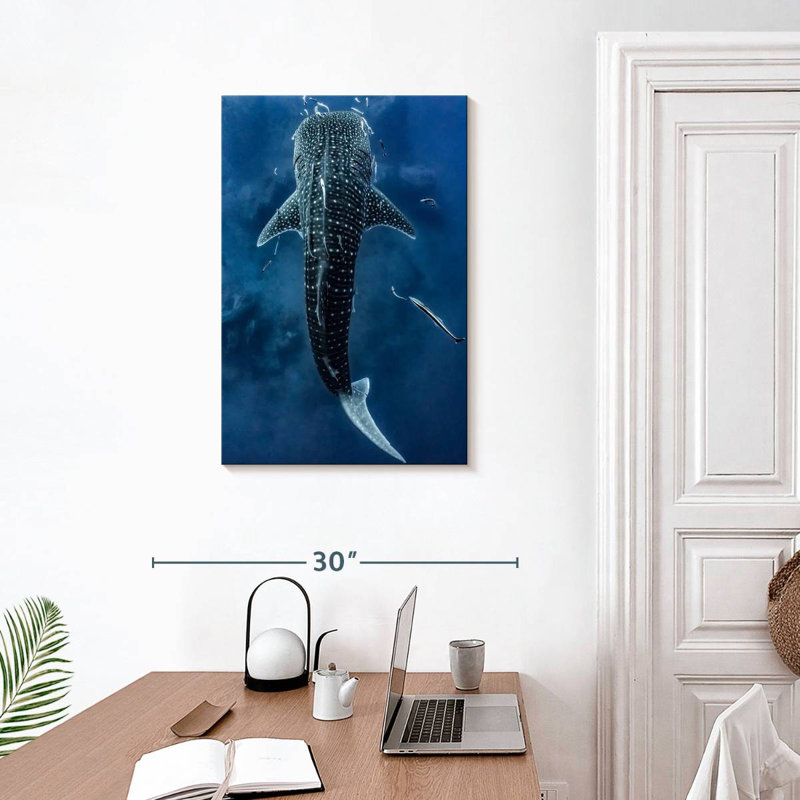 Brampt Spotted Whale Shark, 30" H x 20" W