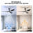 2pcs 52-inch Ceiling Fans With Lights And Remote Control Black-300285314-300285317