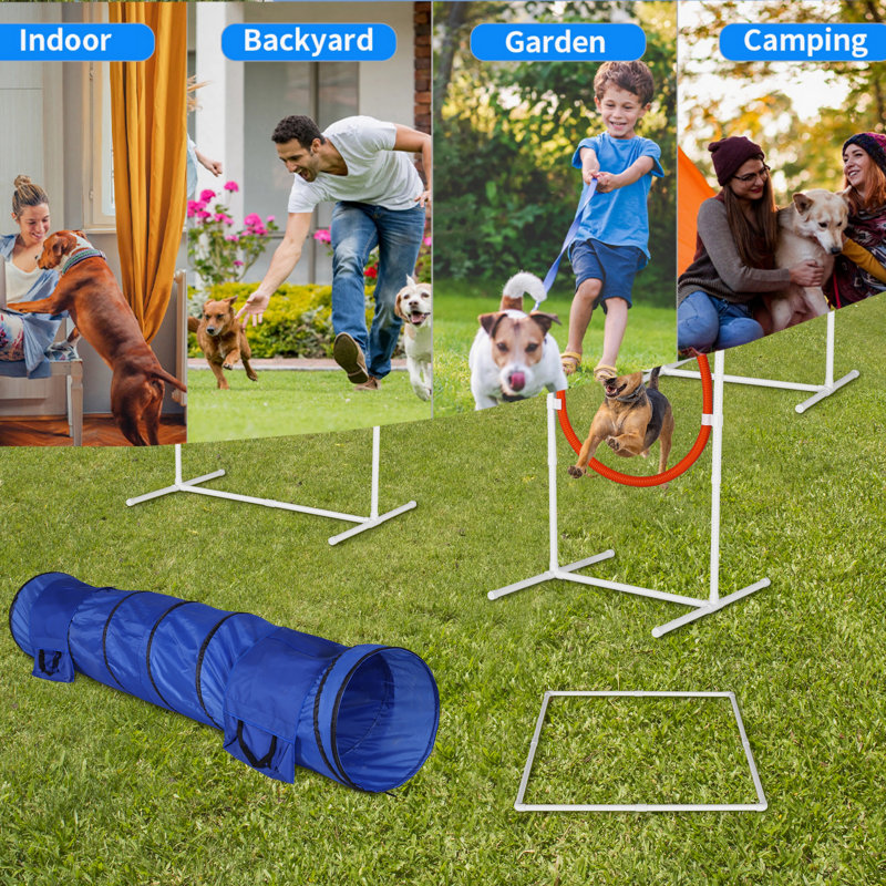 Adjustable Dog Agility Training Set with Tunnel and Weave Poles