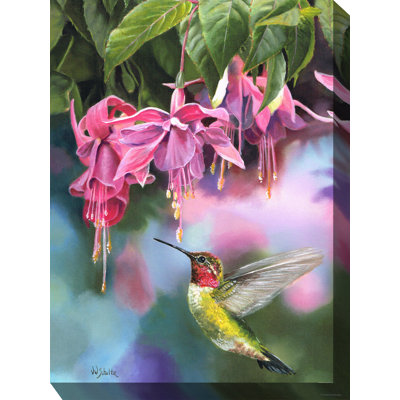 Fuschia & Hummer Outdoor Canvas Art