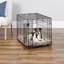 La cage pour chien iCrate à une porte nouvellement améliorée de MidWest Homes For Pets comprend un panneau de séparation-31132741