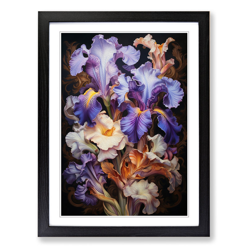 Iris Flower Rococo Framed Print, 34cm H x 25cm W x 2cm D, Black Framed