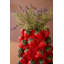Vase en céramique fraises