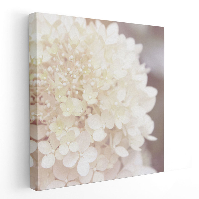 Hydrangea Dream I - reproduction d'art sur toile, H 12 po x l 12 po