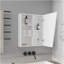 Quintana Wall-Mounted Mirror Medicine Cabinet With One Door And Four Open Compartments, White