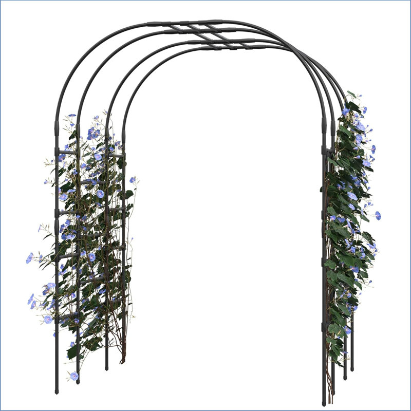 220cm H x 150cm W Metal Arched