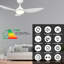 Ventilateur de plafond intelligent 45 po avec télécommande Daisy, ensemble d'éclairage inclus, fonctionne avec l'assistant Google et Amazon Alexa, raccourci Siri