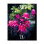 Horloge murale Colicia - Fuschia-1870998050