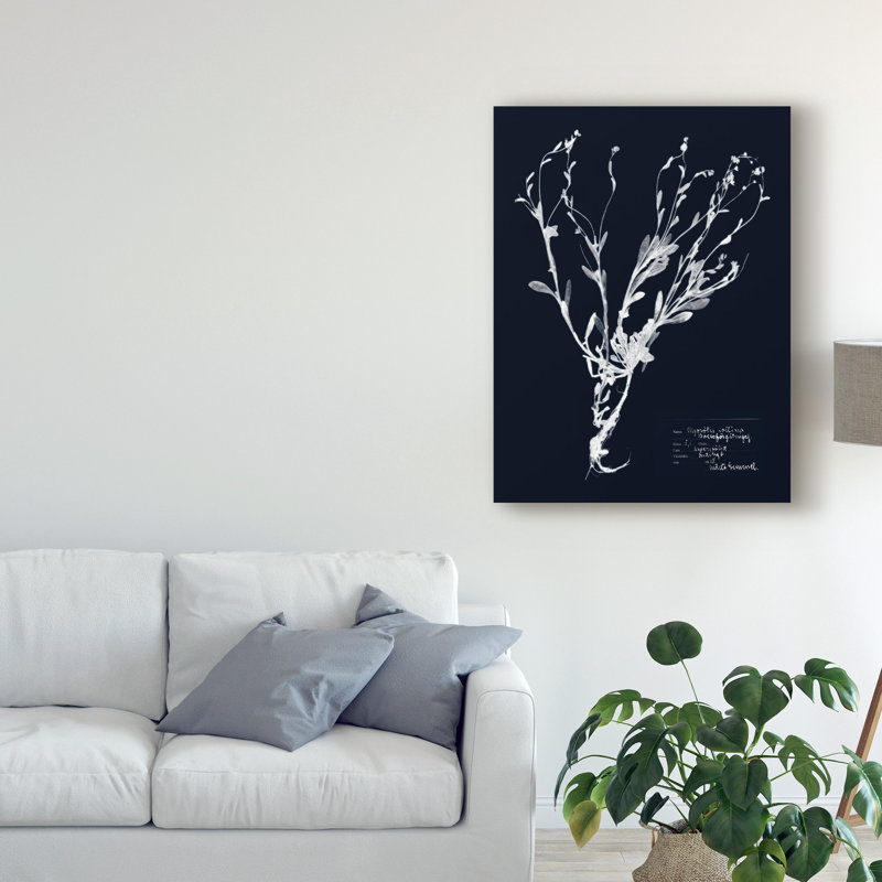 Impressions on Indigo II par Vision Studio - reproduction d'art sur toile, H 19 po x l 14 po x P 2 po