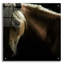 «Spirit Horse» par Tony Stromberg-845903408