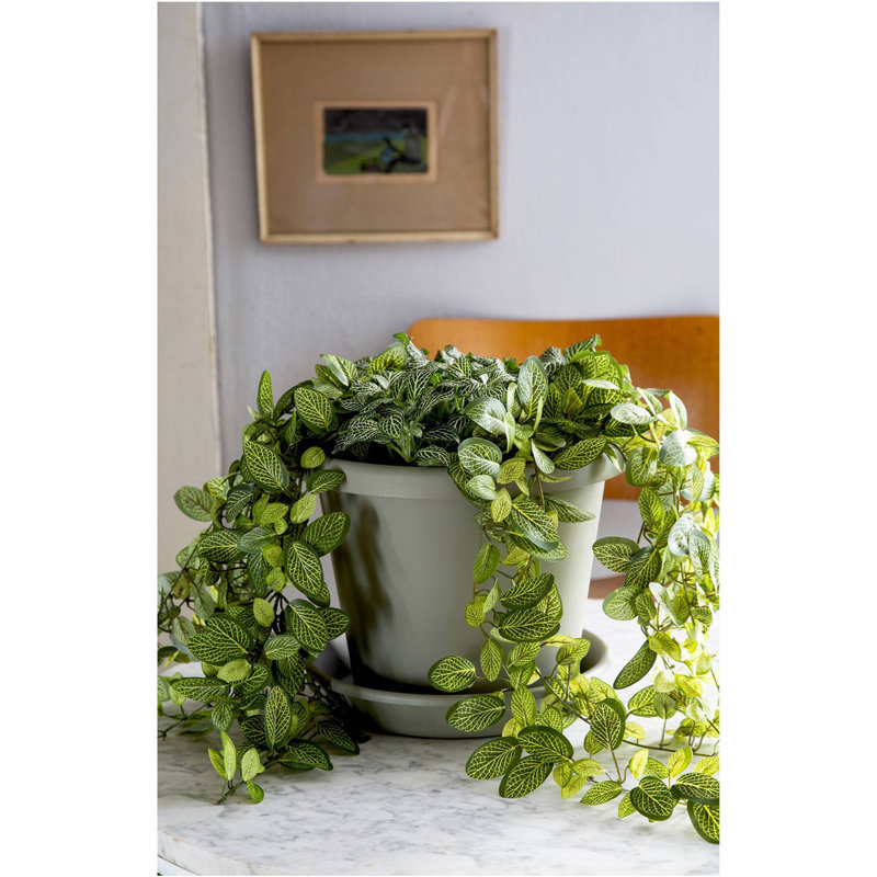 Yailen Pot Planter, 19.25" H X 24" W X 24" D, Brown