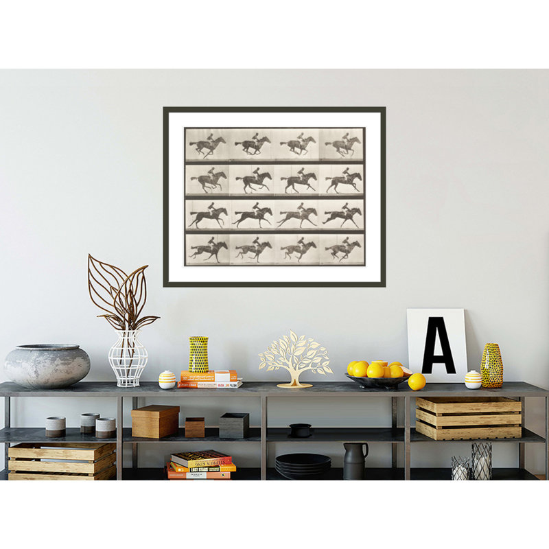 Annie galop (Animal Locomotion 1887 plate 623) par Ead vêtementsd Muybridge, impression giclée encadrée