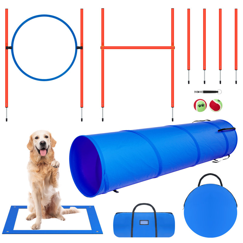 Parcours d'obstacles pour cour arrière réglable avec agilité pour chien, 5 PCS Basic avec tunnel
